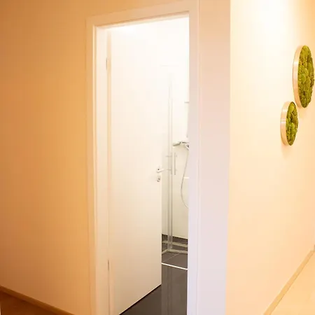 Luxus-penthouse Im Zentrum アパート